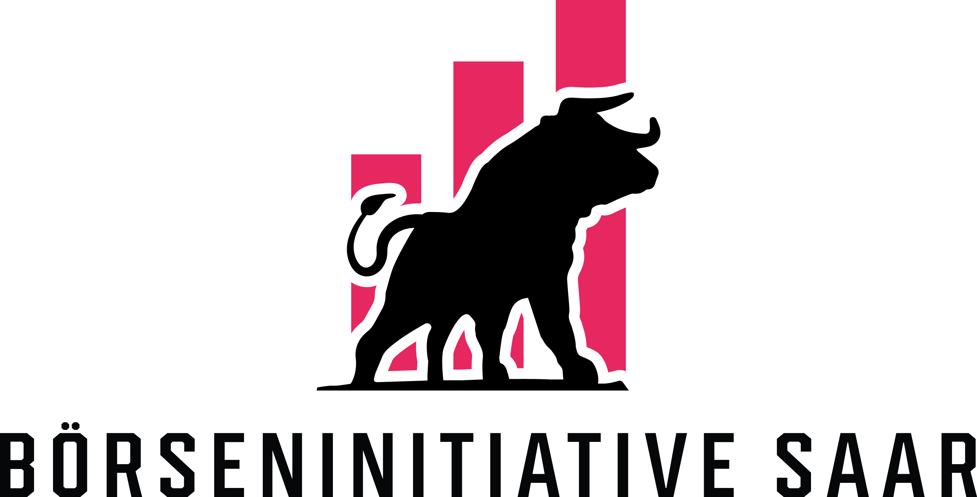 Börseninitiative Saar e.V. Logo
