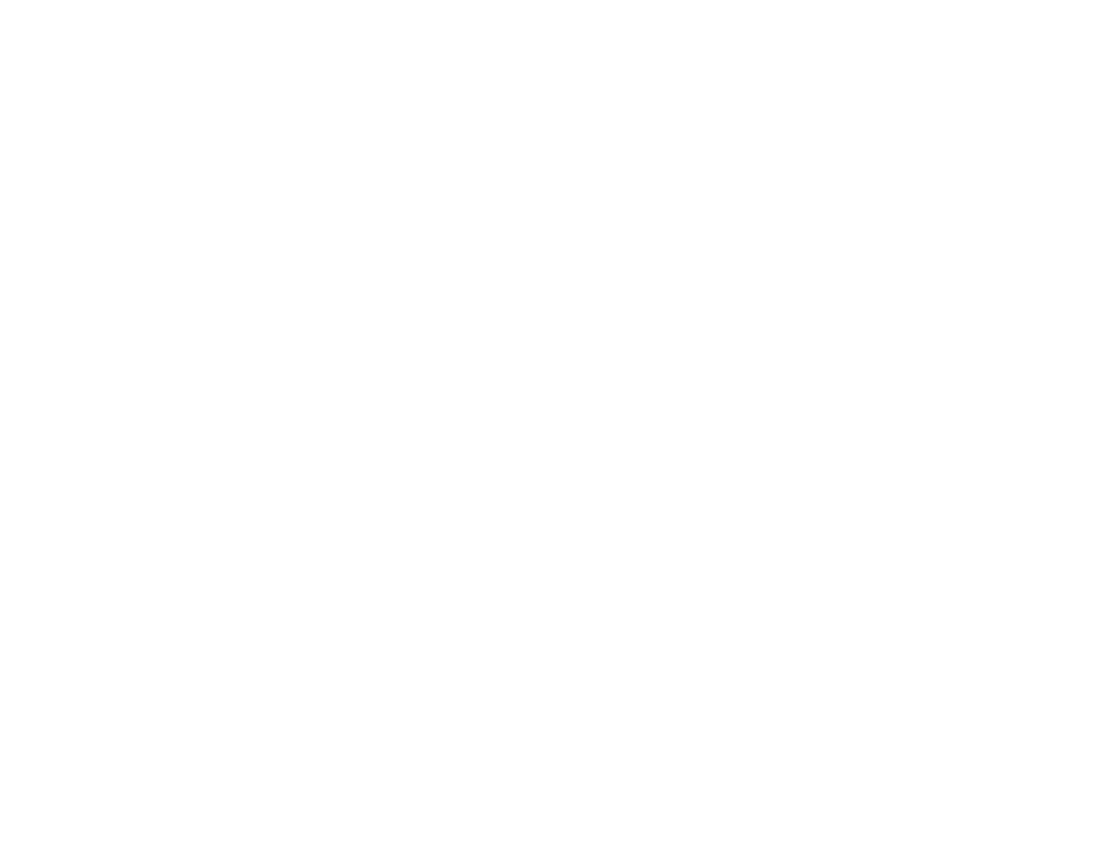 Finance Network Munich e.V. Logo